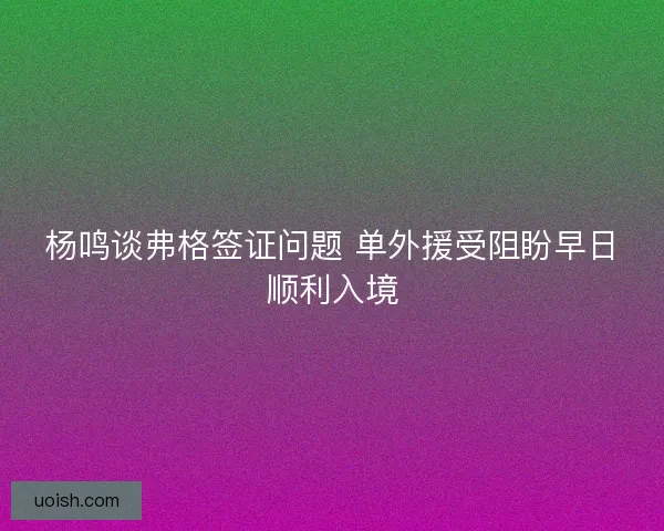 杨鸣谈弗格签证问题 单外援受阻盼早日顺利入境