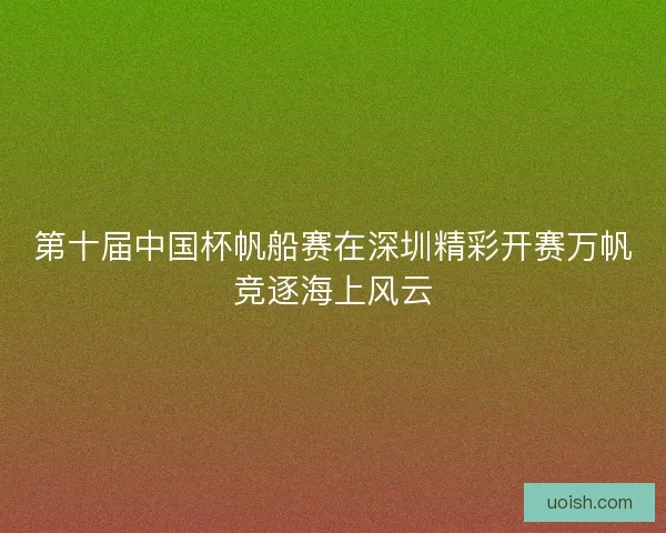 第十届中国杯帆船赛在深圳精彩开赛万帆竞逐海上风云
