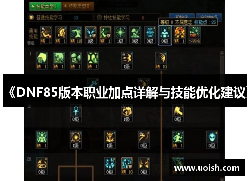 《DNF85版本职业加点详解与技能优化建议》