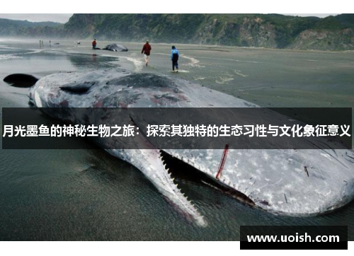 月光墨鱼的神秘生物之旅：探索其独特的生态习性与文化象征意义